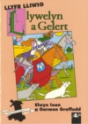 Cyfres Arwyr Cymru: 2. Llyfr Lliwio Llywelyn a Gelert - Book