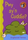 Cyfres Darllen Mewn Dim - Cam y Dewin Dwl: Pwy Sy'n Cuddio? - Book