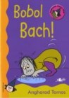 Cyfres Darllen Mewn Dim - Cam Rwdlan: Bobol Bach! - Book