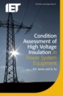 Condition Assessment of High Voltage Insulation in Power System Equipment - Book