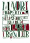Maori Property in the Foreshore and Seabed : The Last Frontier - Book