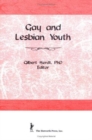 Gay and Lesbian Youth - Book