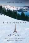 The Mountains of Paris : How Awe and Wonder Rewrote My Life - Book