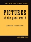 Pictures of the Gone World - Book