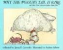 Why the Possum's Tail is Bare - Book