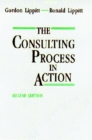 The Consulting Process in Action - Book