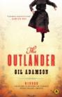 The Outlander - eBook