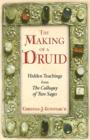 The Making of a Druid : Hidden Teachings from the Colloquy of Two Sages - Book