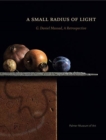 A Small Radius of Light : G. Daniel Massad, A Retrospective - Book