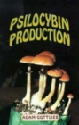 Psilocybin Producers Guide - Book