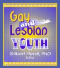 Gay and Lesbian Youth - Book