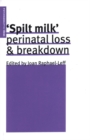 Spilt Milk : Perinatal Loss and Breakdown - Book