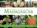 Missouri Botanical Garden in Madagascar : Celebrating 25 Years of Exploration, Discovery, and Conservation on the Eighth Continent - Book