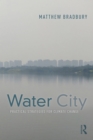 Water City : Practical Strategies for Climate Change - eBook