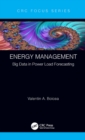 Energy Management : Big Data in Power Load Forecasting - eBook