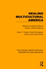 Healing Multicultural America : Mexican Immigrants Rise to Power in Rural California - eBook