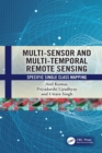 Multi-Sensor and Multi-Temporal Remote Sensing : Specific Single Class Mapping - eBook