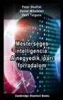 Mesterseges Intelligencia: A Negyedik Ipari Forradalom - eBook