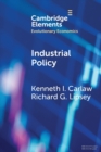 Industrial Policy : The Coevolution of Public and Private Sources of Finance for Important Emerging and Evolving Technologies - Book
