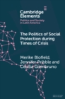 The Politics of Social Protection During Times of Crisis - eBook