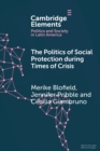 The Politics of Social Protection During Times of Crisis - Book