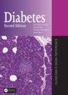 Diabetes : Clinician's Desk Reference - Book