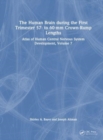 The Human Brain during the First Trimester 57- to 60-mm Crown-Rump Lengths : Atlas of Human Central Nervous System Development, Volume 7 - Book