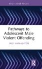 Pathways to Adolescent Male Violent Offending - Book