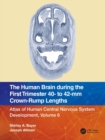 The Human Brain during the First Trimester 40- to 42-mm Crown-Rump Lengths : Atlas of Human Central Nervous System Development, Volume 6 - Book