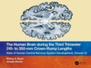 The Human Brain during the Third Trimester 310– to 350–mm Crown-Rump Lengths : Atlas of Central Nervous System Development, Volume 13 - Book