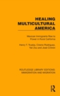 Healing Multicultural America : Mexican Immigrants Rise to Power in Rural California - Book