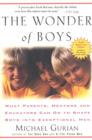 Wonder of Boys - eBook