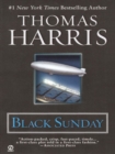 Black Sunday - eBook
