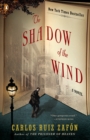 Shadow of the Wind - eBook