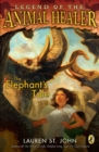 Elephant's Tale - eBook