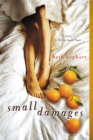 Small Damages - eBook