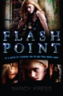 Flash Point - eBook