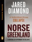 Norse Greenland - eBook