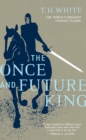 Once and Future King - eBook