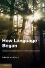 How Language Began : Gesture and Speech in Human Evolution - Book