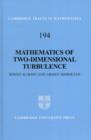 Mathematics of Two-Dimensional Turbulence - Book