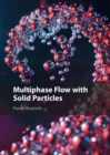 Multiphase Flow with Solid Particles - Book