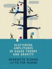 Scattering Amplitudes in Gauge Theory and Gravity - Book
