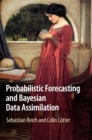 Probabilistic Forecasting and Bayesian Data Assimilation - Book