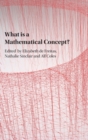 What is a Mathematical Concept? - Book