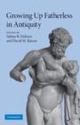 Growing Up Fatherless in Antiquity - Book