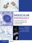 Molecular Pathology with Online Resource : A Practical Guide for the Surgical Pathologist and Cytopathologist - Book