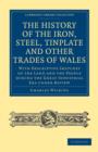 History of the Iron, Steel, Tinplate and Other Trades of Wales - Book