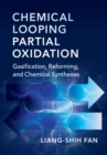 Chemical Looping Partial Oxidation : Gasification, Reforming, and Chemical Syntheses - eBook