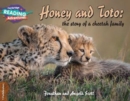 Cambridge Reading Adventures Honey and Toto: The Story of a Cheetah Family 1 Pathfinders - Book